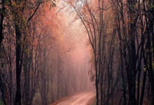 怎么开股票帐户:杠杆交易什么意思-iPhone最新消息 消费电子产业链强势