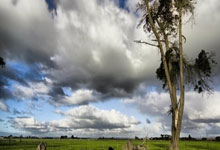 没有融资的股票:怎样加杠杆买股票-美官员警告美国所有大学:应好自为之 尽快整顿!哈佛起诉特朗普政府!