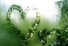 股票办理开户:股票怎样网上开户流程-机构与游资“围猎” 寒武纪股价狂飙 盘中突破1000元